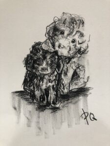 IMG_0789
