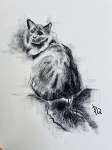 chelseacat