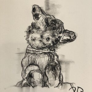 Custom Pet Drawing