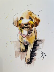 miso
