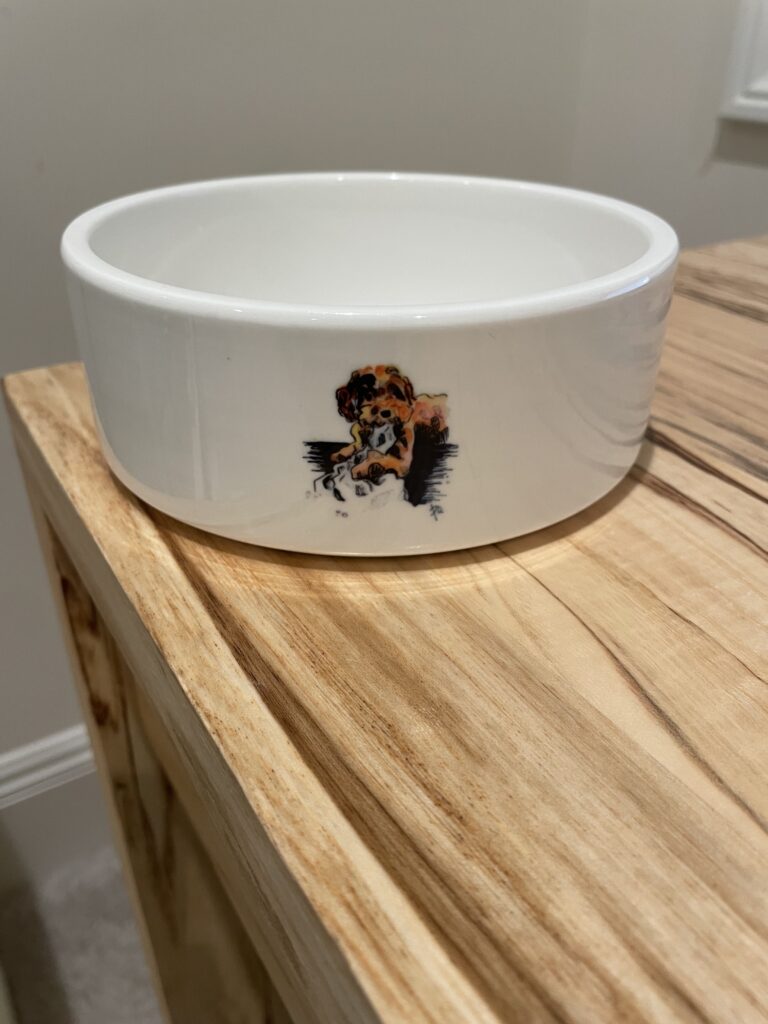 Custom Pet Dish