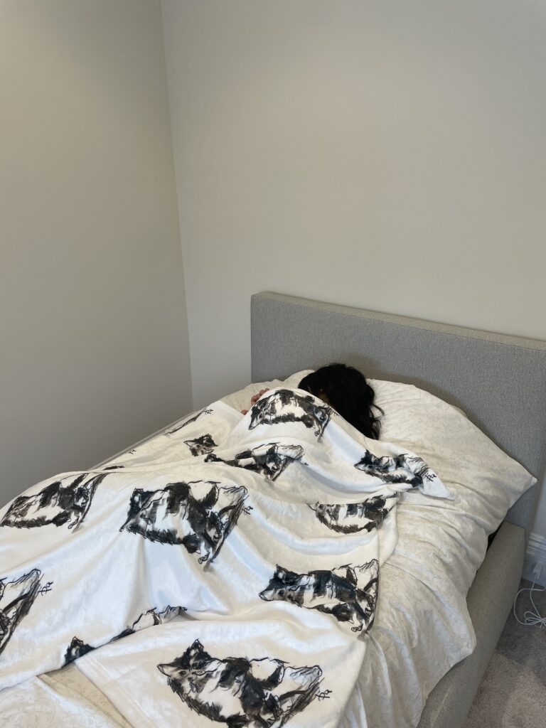 Custom Pet Blanket